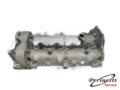 SEDE ALBERI A CAMME...