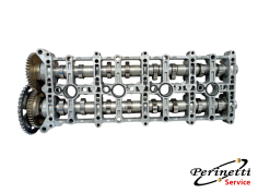 SEDE ALBERI A CAMME MINI...