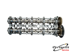 SEDE ALBERI A CAMME MINI... 2