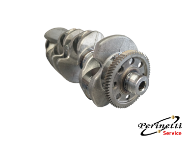 ALBERO MOTORE 2.0 TDI AUDI A4 03G105212C