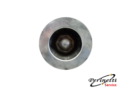 PISTONE MOTORE FORD KUGA... 2