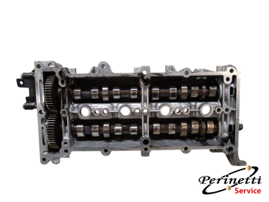 SEDE ALBERI A CAMME COMPLETA ALFA...