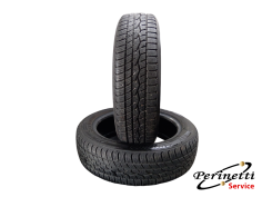 2 PNEUMATICI TOYO CELSIUS... 2