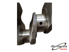 ALBERO MOTORE 038L...