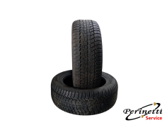 2 PNEUMATICI VIKING WINTECH...