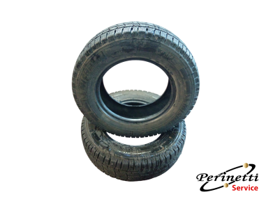 2 PNEUMATICI MICHELIN AGILIS ALPIN...