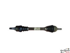 SEMIASSE ANTERIORE SINISTRO...