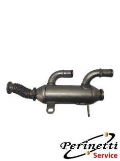 SCAMBIATORE VALVOLA EGR...