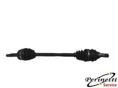 SEMIASSE ANTERIORE SINISTRO...