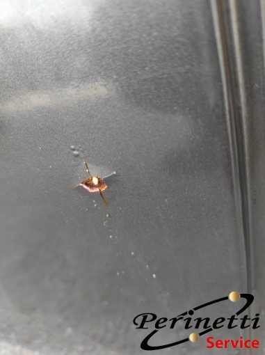 PORTA POSTERIORE DESTRA  BMW  E91...