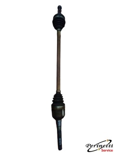 SEMIASSE ANTERIORE DESTRO...