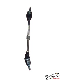 SEMIASSE ANTERIORE DESTRO...