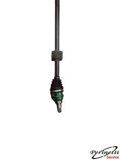 SEMIASSE ANTERIORE DESTRO... 2