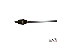 SEMIASSE ANTERIORE DESTRO... 2