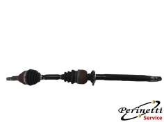 SEMIASSE ANTERIORE DESTRO...